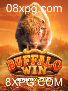 Domine o Mundo dos Cassinos com BuffaloWin